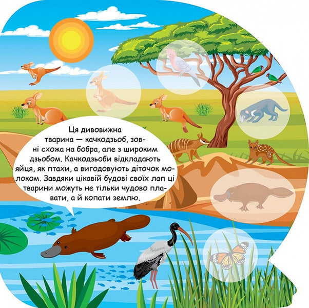 Animals Of Australia Educational Stickers - Тварини Австрал Пзнавальн налпки - Author not specified 9786175241615-4