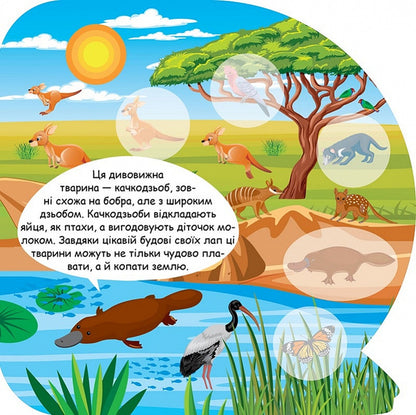 Animals Of Australia Educational Stickers - Тварини Австрал Пзнавальн налпки - Author not specified 9786175241615-4