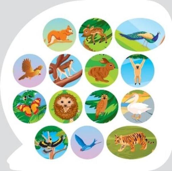Animals Of Eurasia Educational Stickers - Тварини враз Пзнавальн налпки - Author not specified 9786175241653-5