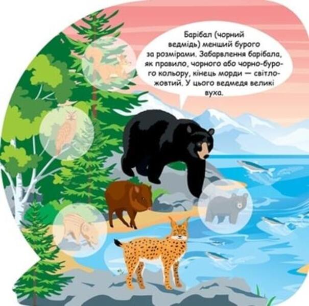 Animals Of North America Educational Stickers - Тварини Пвнчно Америки Пзнавальн налпки - Author not specified 9786175241646-3