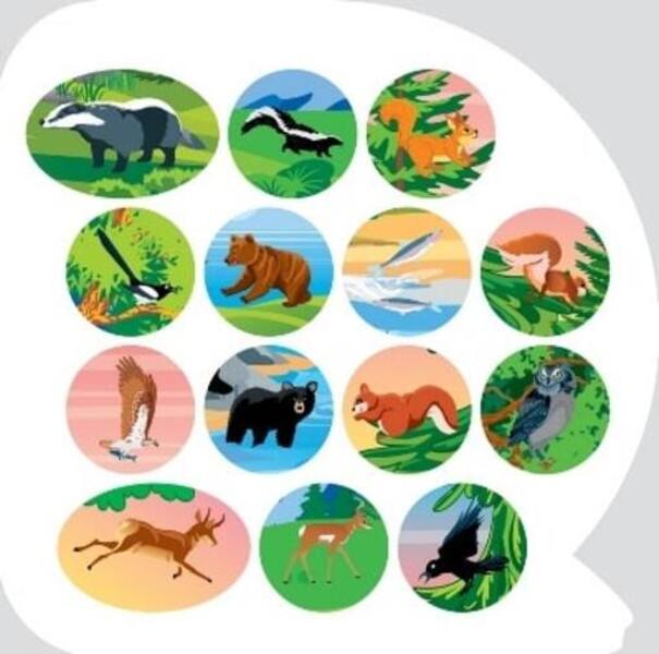 Animals Of North America Educational Stickers - Тварини Пвнчно Америки Пзнавальн налпки - Author not specified 9786175241646-6