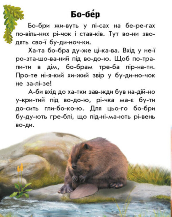 Animals Of Rivers And Seas / Тварини річок та морів Yulia Kasparova / Юлія Каспарова 9786170981394-2