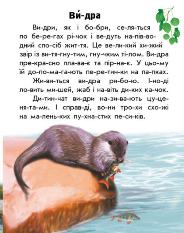 Animals Of Rivers And Seas / Тварини річок та морів Yulia Kasparova / Юлія Каспарова 9786170981394-3