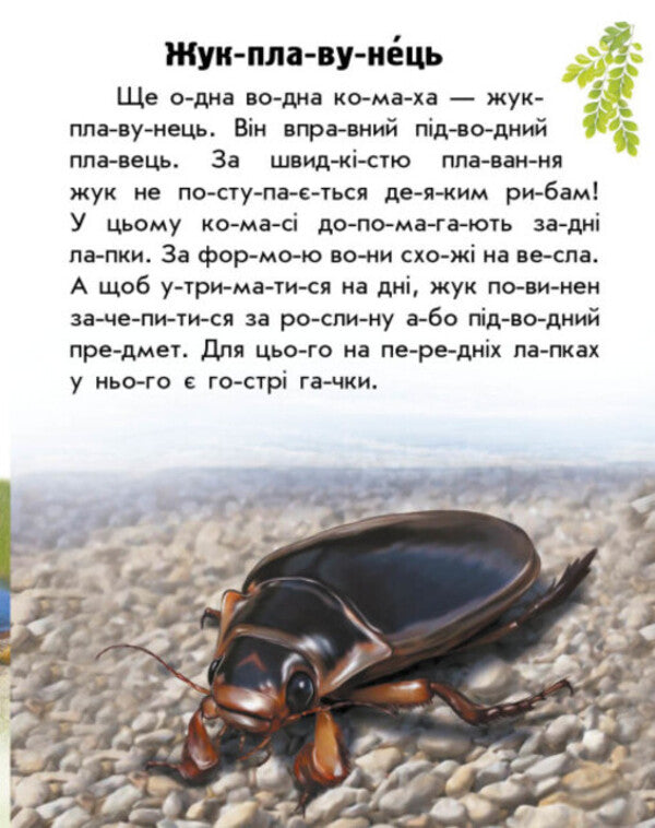 Animals Of Rivers And Seas / Тварини річок та морів Yulia Kasparova / Юлія Каспарова 9786170981394-5