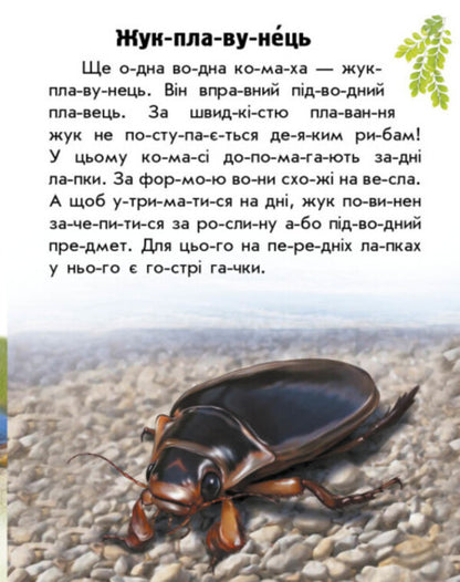 Animals Of Rivers And Seas / Тварини річок та морів Yulia Kasparova / Юлія Каспарова 9786170981394-5