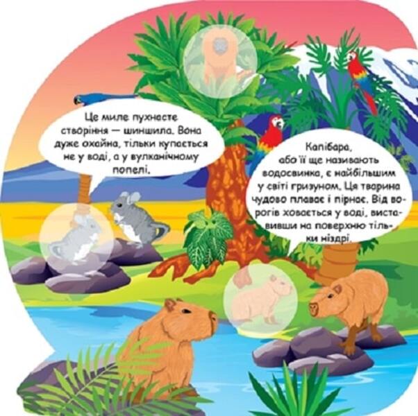 Animals Of South America Educational Stickers - Тварини Пвденно Америки Пзнавальн налпки - Author not specified 9786175241639-3
