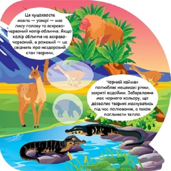 Animals Of South America Educational Stickers - Тварини Пвденно Америки Пзнавальн налпки - Author not specified 9786175241639-4