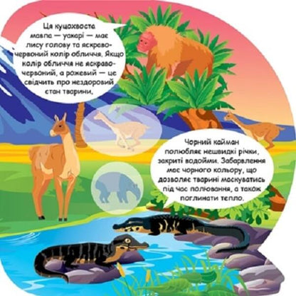 Animals Of South America Educational Stickers - Тварини Пвденно Америки Пзнавальн налпки - Author not specified 9786175241639-4