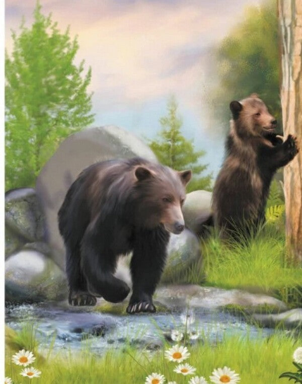 Animals Of The Mountains / Тварини гір Yulia Kasparova / Юлія Каспарова 9786170981363-3