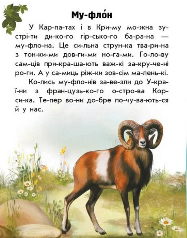 Animals Of The Mountains / Тварини гір Yulia Kasparova / Юлія Каспарова 9786170981363-4