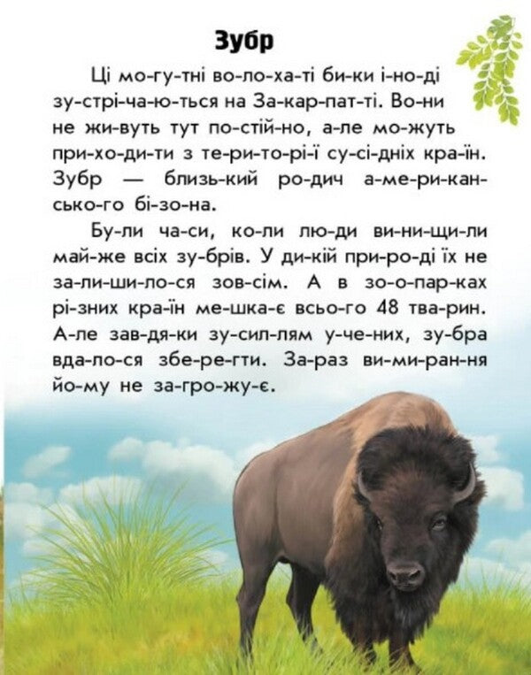 Animals Of The Mountains / Тварини гір Yulia Kasparova / Юлія Каспарова 9786170981363-5