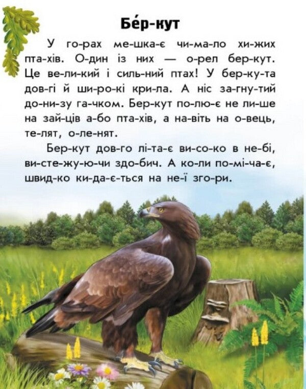 Animals Of The Mountains / Тварини гір Yulia Kasparova / Юлія Каспарова 9786170981363-6