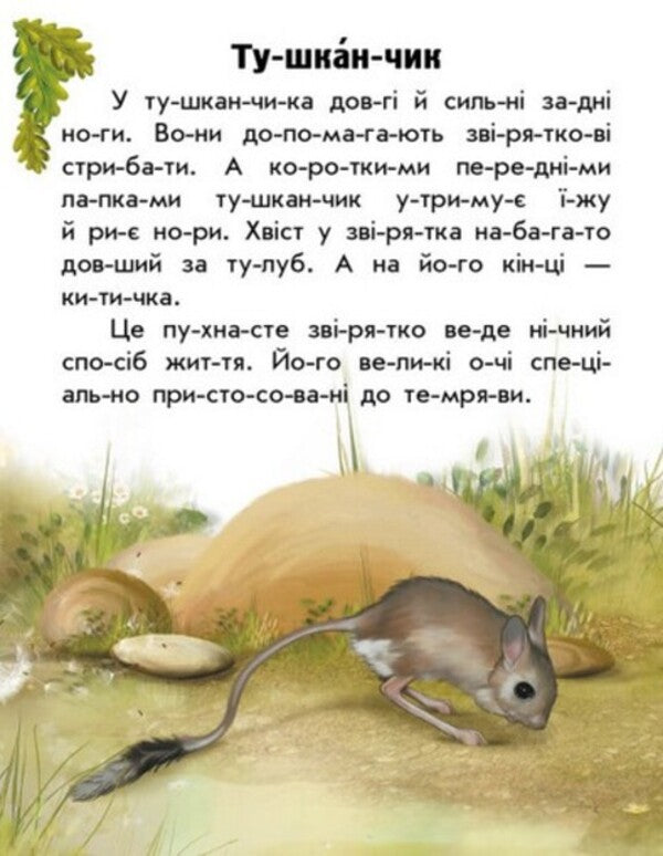 Animals Of The Steppes / Тварини степів Yulia Kasparova / Юлія Каспарова 9786170981370-2