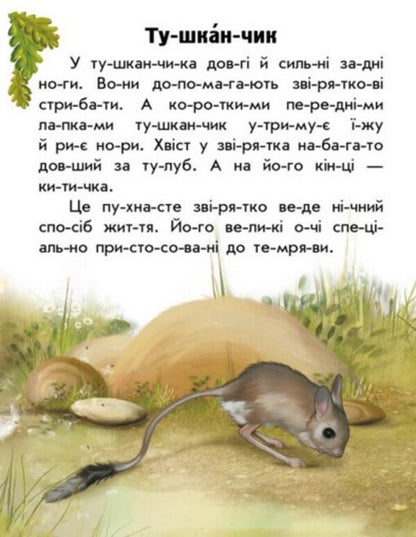 Animals Of The Steppes / Тварини степів Yulia Kasparova / Юлія Каспарова 9786170981370-2