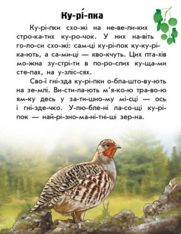 Animals Of The Steppes / Тварини степів Yulia Kasparova / Юлія Каспарова 9786170981370-3