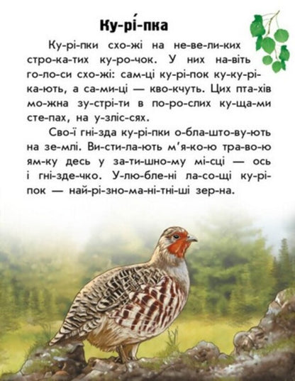 Animals Of The Steppes / Тварини степів Yulia Kasparova / Юлія Каспарова 9786170981370-3