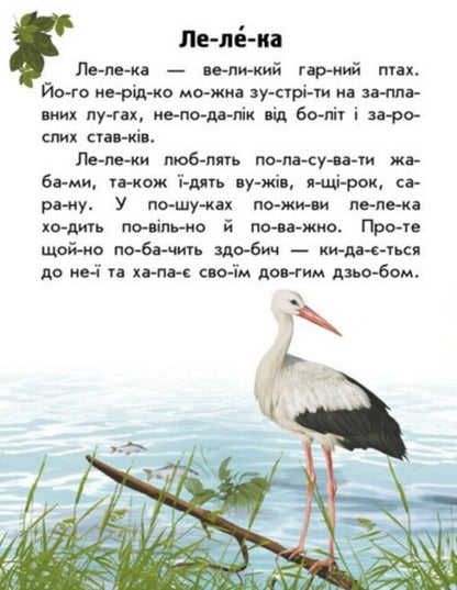 Animals Of The Steppes / Тварини степів Yulia Kasparova / Юлія Каспарова 9786170981370-4