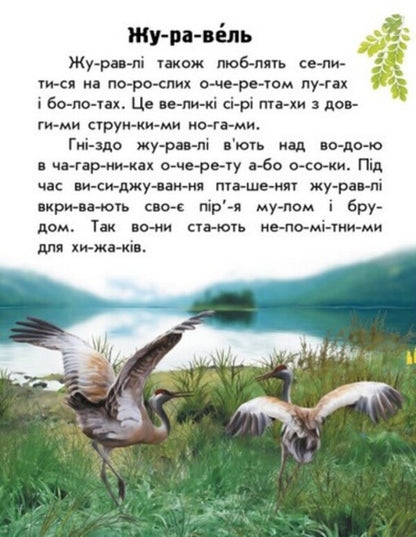 Animals Of The Steppes / Тварини степів Yulia Kasparova / Юлія Каспарова 9786170981370-5