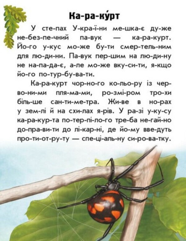 Animals Of The Steppes / Тварини степів Yulia Kasparova / Юлія Каспарова 9786170981370-6