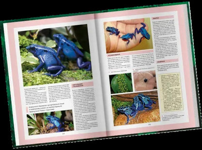 Animals Of The World. A Large Interactive Encyclopedia With Augmented Reality / Тварини світу. Велика інтерактивна енциклопедія з доповненою реальністю / Author not specified 9786178237264-3