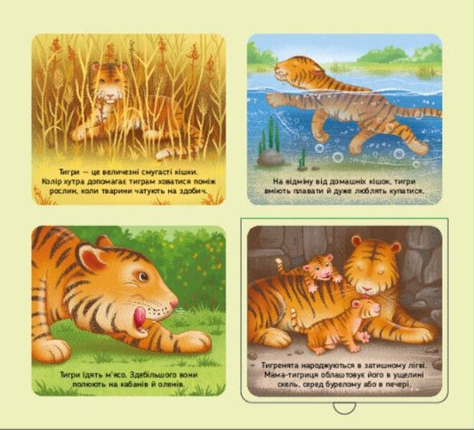 Animals Of The World / Тварини світу Irina Potanina / Ірина Потаніна 9789667617776-2