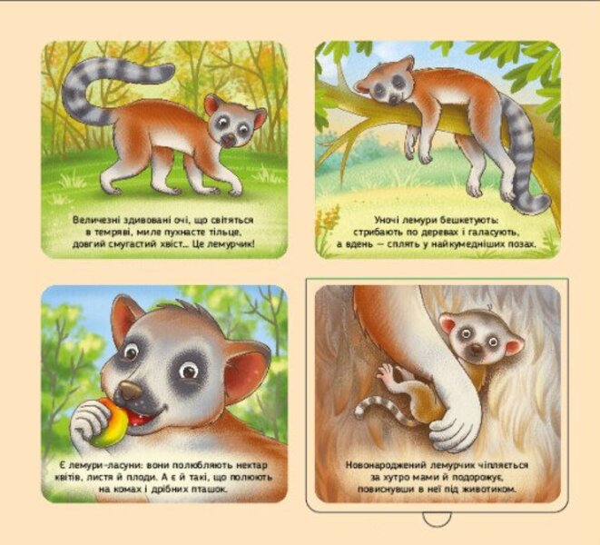Animals Of The World / Тварини світу Irina Potanina / Ірина Потаніна 9789667617776-4