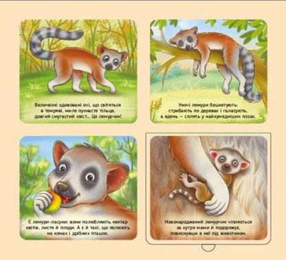 Animals Of The World / Тварини світу Irina Potanina / Ірина Потаніна 9789667617776-4