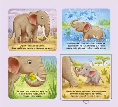 Animals Of The World / Тварини світу Irina Potanina / Ірина Потаніна 9789667617776-6