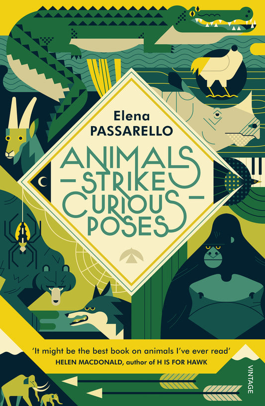 Animals Strike Curious Poses / Animals Strike Curious Poses Элена Пассарелло 9781784707354-1