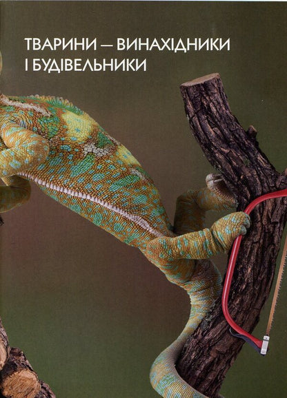 Animals are inventors and builders / Тварини-винахідники і будівельники Андрей Гапченко 978-966-935-604-8-5