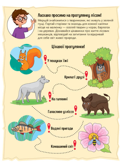 Animals in the forest. + 32 stickers / Тваринки у лісі. + 32 наліпки Ольга Шевченко 978-617-17-0148-9-2