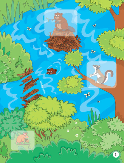Animals in the forest. + 32 stickers / Тваринки у лісі. + 32 наліпки Ольга Шевченко 978-617-17-0148-9-4