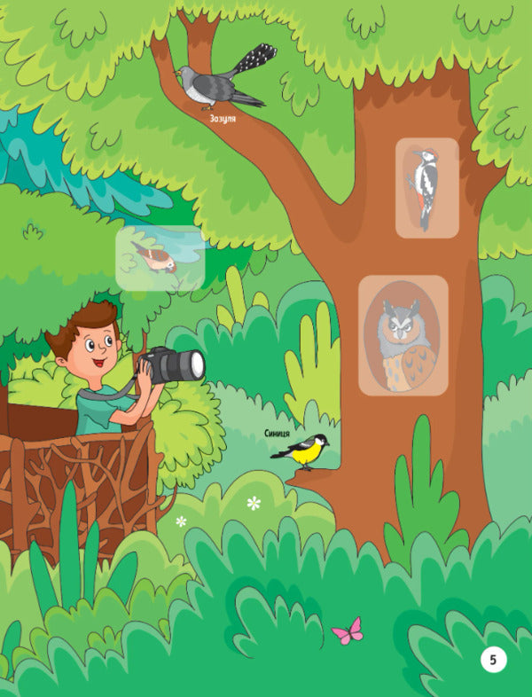 Animals in the forest. + 32 stickers / Тваринки у лісі. + 32 наліпки Ольга Шевченко 978-617-17-0148-9-6