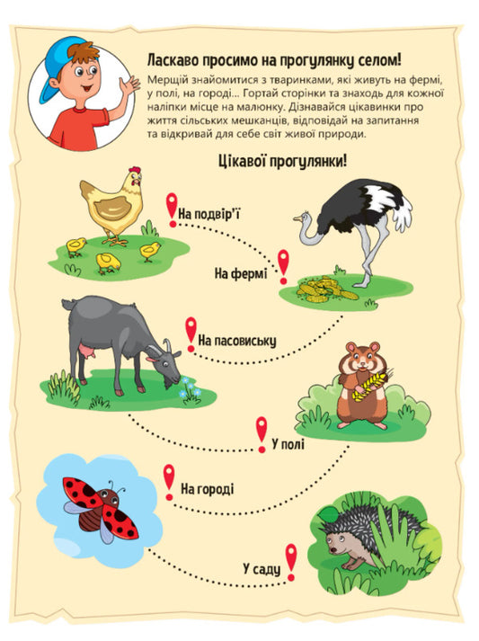 Animals in the village. + 32 stickers / Тваринки у селі. + 32 наліпки Ольга Шевченко 978-617-17-0147-2-2