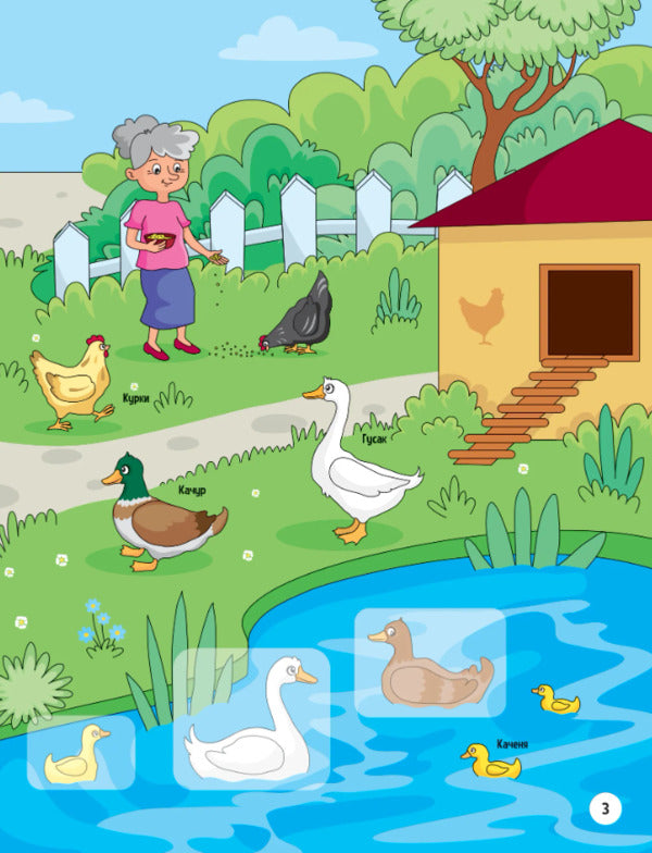 Animals in the village. + 32 stickers / Тваринки у селі. + 32 наліпки Ольга Шевченко 978-617-17-0147-2-4