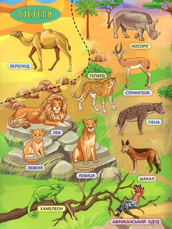 Animals of the world / Тварини світу Екатерина Смирнова 978-966-284-503-7-3