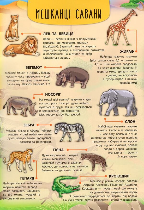 Animals of the world / Тварини світу Екатерина Смирнова 978-966-284-503-7-4