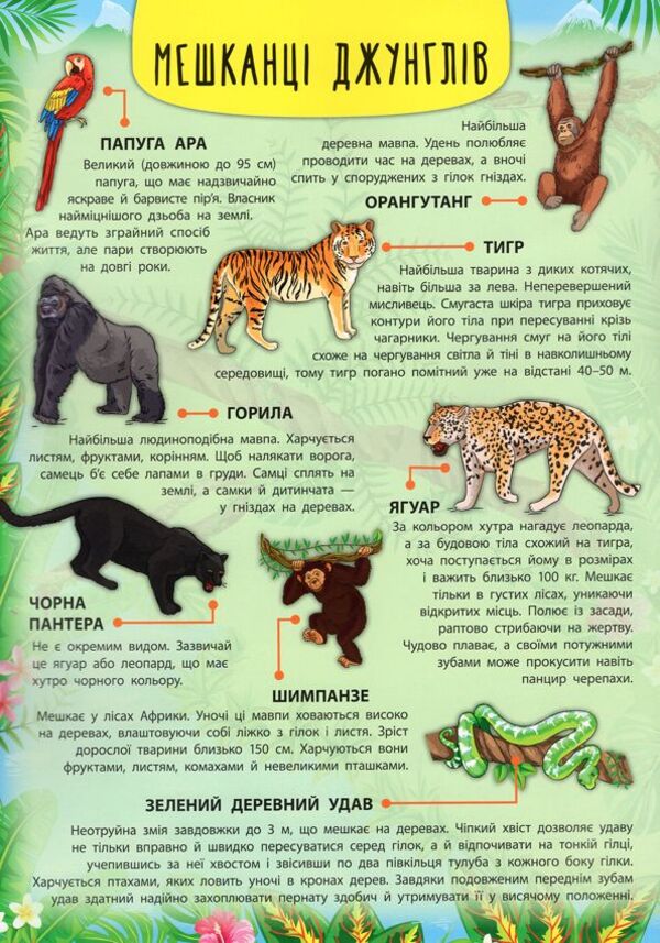 Animals of the world / Тварини світу Екатерина Смирнова 978-966-284-503-7-5