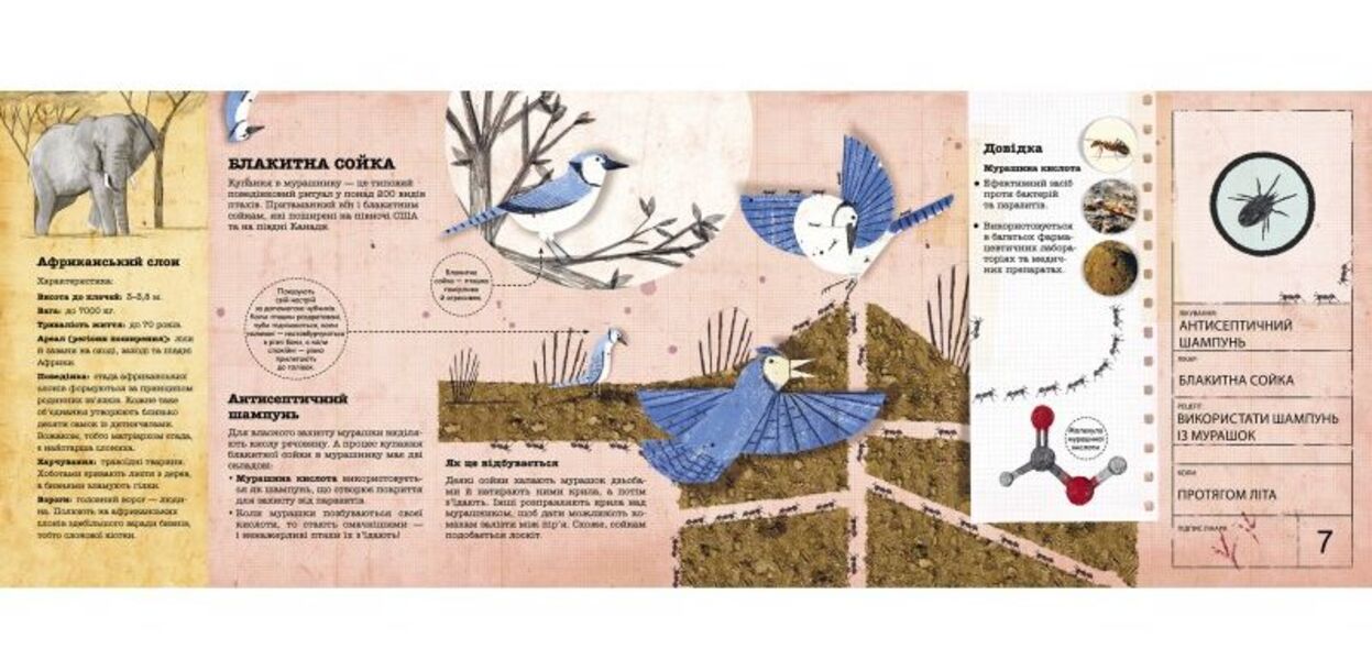 Architects in the animal world / Архітектори у світі тварин Даниэль Нассар 978-617-7329-08-3-3