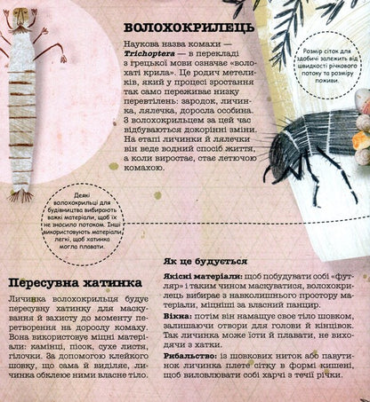Architects in the animal world / Архітектори у світі тварин Даниэль Нассар 978-617-7329-08-3-6