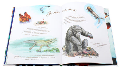Art Encyclopedias For Children (Set Of 6 Books) / Арт-енциклопедії для дітей (комплект із 6 книг) Diana Gutts Aston / Діана Гуттс Астон 9789661050852,9789661051057,9789661050869,9789661050845,9789661050890,9789661051040-18