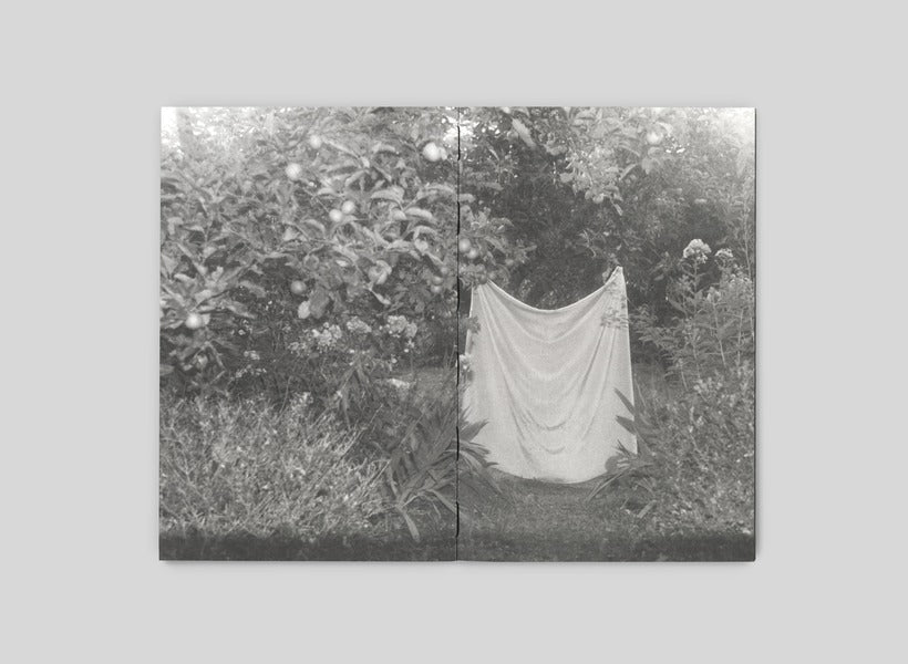 Art book 'I'm going home to eat a mulberry tree' by Katya Lesiv - ist publishing, 2025 / Артбук «Я їду додому їсти шовковицю з дерева» Катя Лесів - ist publishing, 2025 Катя Лесив 978-617-7948-60-4-5