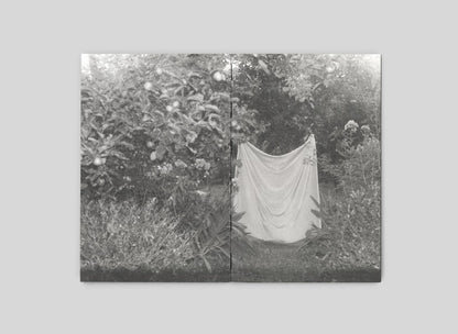 Art book 'I'm going home to eat a mulberry tree' by Katya Lesiv - ist publishing, 2025 / Артбук «Я їду додому їсти шовковицю з дерева» Катя Лесів - ist publishing, 2025 Катя Лесив 978-617-7948-60-4-5