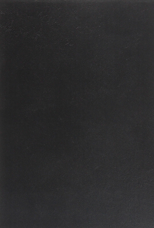 Arthur Schopenhauer. Works. About the insignificance and sorrows of life. Eristics, or the Art of Winning Disputes. Aphorisms of worldly wisdom / Артур Шопенгауэр. Сочинения. О ничтожестве и горестях жизни. Эристика, или Искусство побеждать в спорах. Афоризмы житейской мудрости Артур Шопенгауэр 978-617-7938-60-5-2