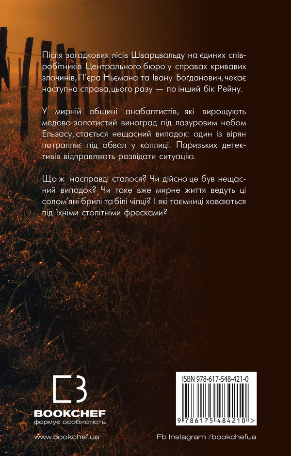 Ashes day / День попелу Жан-Кристоф Гранже 978-617-548-421-0-2