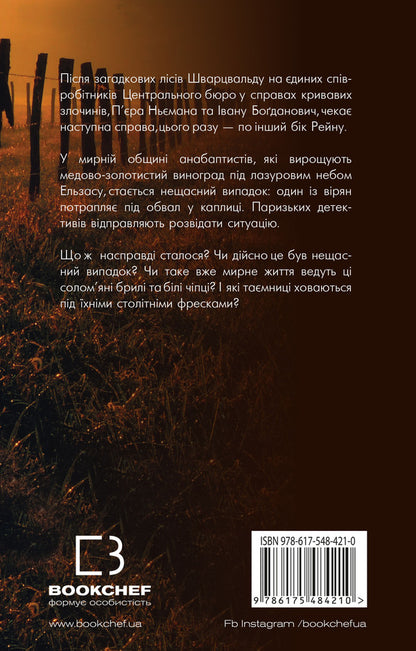 Ashes day / День попелу Жан-Кристоф Гранже 978-617-548-421-0-2