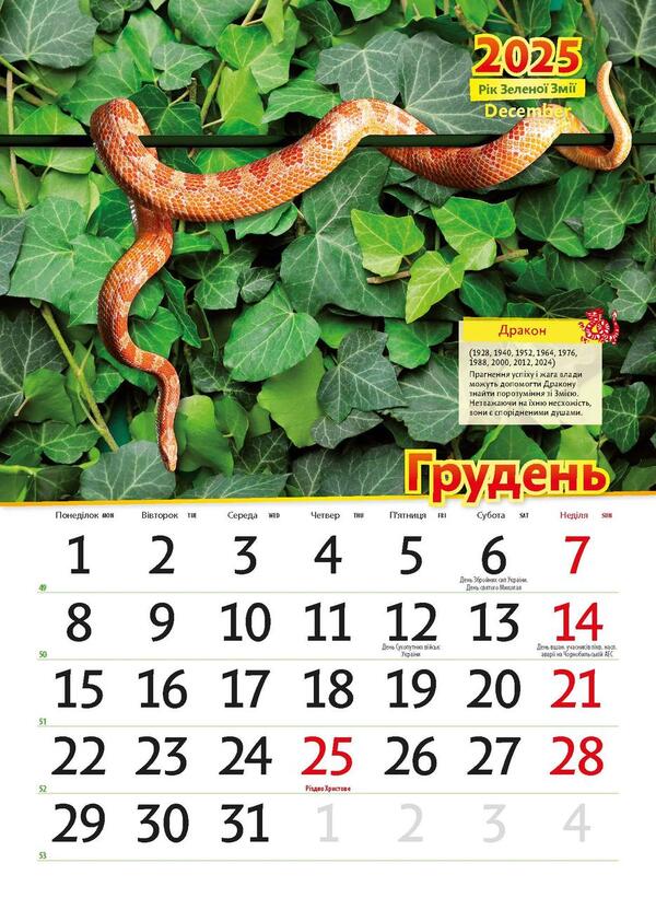 Astrocalendar 2025. Year Of The Green Snake / Астрокалендар 2025. Рік зеленої змії / Author not specified 9771995875805-2