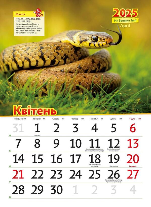 Astrocalendar 2025. Year Of The Green Snake / Астрокалендар 2025. Рік зеленої змії / Author not specified 9771995875805-4