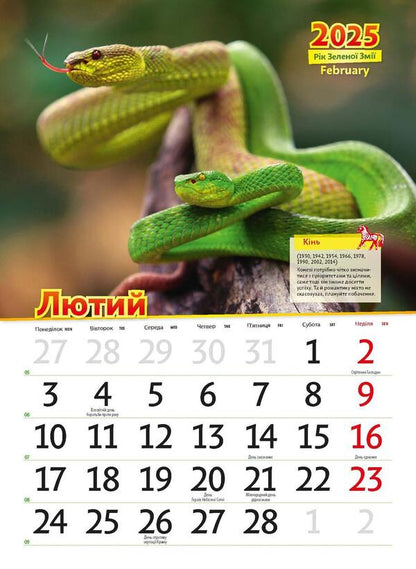 Astrocalendar 2025. Year Of The Green Snake / Астрокалендар 2025. Рік зеленої змії / Author not specified 9771995875805-5