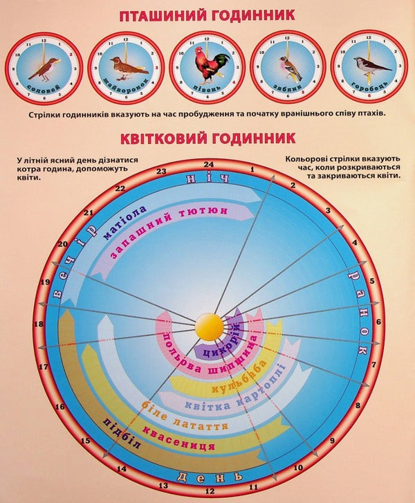Atlas. Natural Science 1-2 Class. I Explore The World. - Атлас. Природознавство 1-2 клас. Я дослджую свт. - Author not specified 9789669464262-3